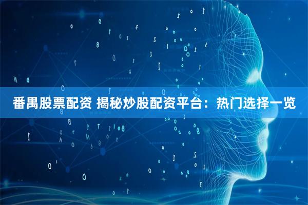 番禺股票配资 揭秘炒股配资平台：热门选择一览